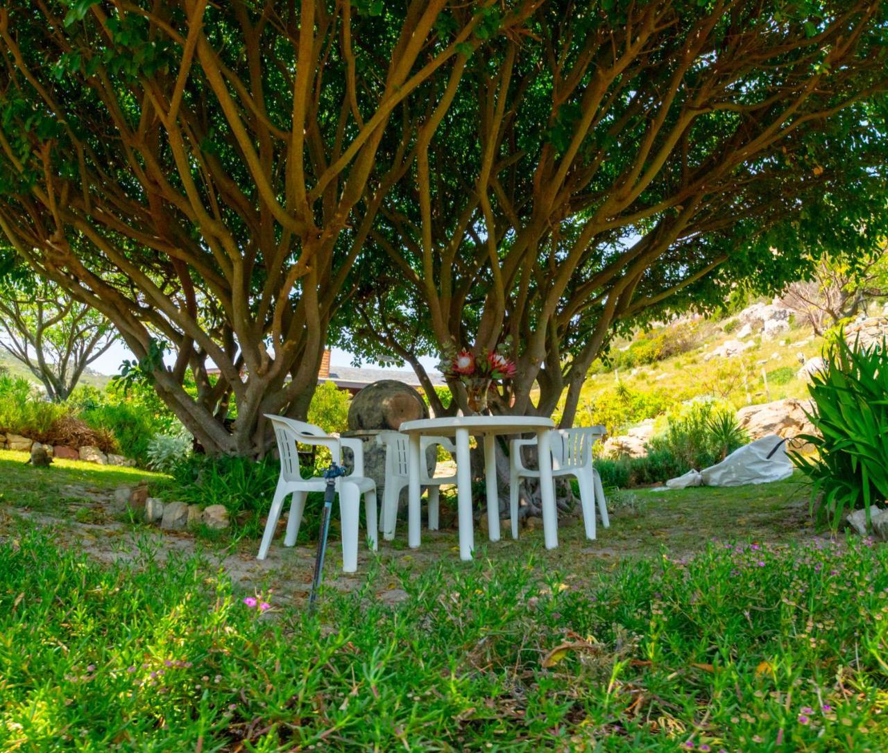 Makapa Lodge Fokváros Kültér fotó